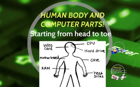 memory slots compared to human body